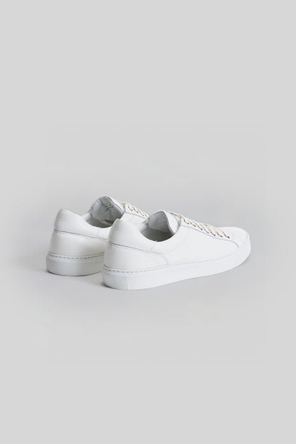 The Terrance Sneaker